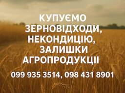 Закуповуємо некондиційне зерно та побічну агропродукцію