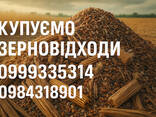 Постійно купуємо некондиційну агро продукцію та зерновідходи - фото 1