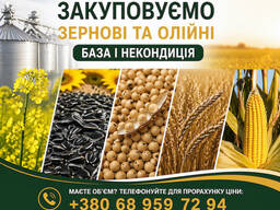 Закуповуємо с/г культури (база та некондиція)