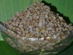 Закуповуємо соєву оболонку (лушпайку)