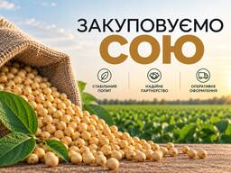 Закуповуємо сою ОПТОМ по Україні