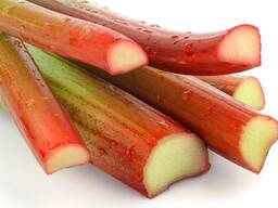 Закуповуємо свіжий ревінь у великих об'ємах