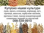 Закуповуємо всі нішеві культури та Кондитерський соняшник - фото 1