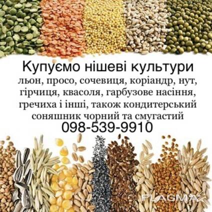 Закуповуємо всі нішеві культури та Кондитерський соняшник