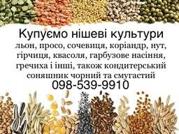 Закуповуємо всі нішеві культури та Кондитерський соняшник