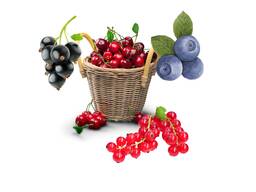 Закуповуємо всі ягоди