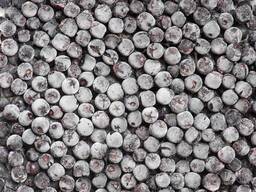 Закуповуємо заморожену аронію (чорноплідну горобину)