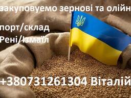Закуповуємо зернові та олійні культури