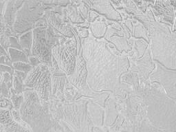 Замена стекла в межкомнатных дверях Киев