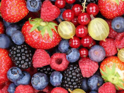 Заморожені фруктово-ягідні суміші від виробника