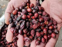 Заморожені ягоди в об'ємах