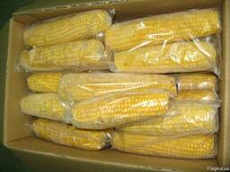 Заморожуємо качани цукрової кукурудзи