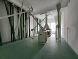 Завод - борошномельний млин 250 тонн за 24 години - фото 1