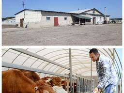 Здам в оренду тваринницьку ферму 20 км від Харкова, Двурічний Кут