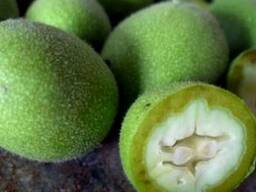 Зелений волоський горіх Зеленый грецкий орех Зелелёный не со