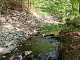 Земельна ділянка у с. Синяк, Закарпаття, 0,12 га