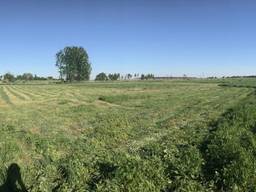 Фасад траси, 20Га, ОСГ