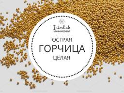 Зерно горчицы жёлтой