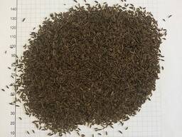 Зерно кмину звичайного виробництва ЄС