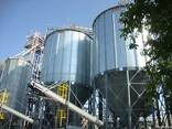 Зернохранилище (силос) с конусным днищем - фото 1