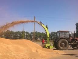 Зернометатель Schulte SDX-102