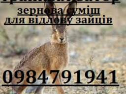Зернова суміш (транквілізатор) для відлову зайців