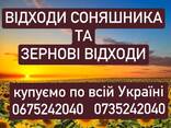 Зернові та олійні відходи - фото 1