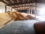 Зерновой склад закупает зерно и предоставляет услуги осушки, очистки, транспортировки и сб