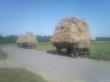 Житня солома в тюках - фото 1