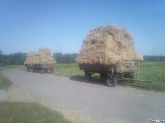 Житня солома в тюках