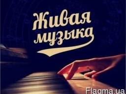 Живая музыка от Event Studio "Cleopatra"