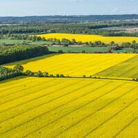 Андрей Куприянов Иванович