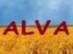 Alva, ЧП