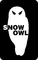 Snow Owl, ЧП