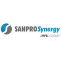 Sanpro Synergy sp. zo.o, Корпорация