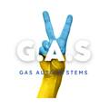 GasAutoSystems, ПП