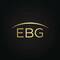 Euro Bridge Global, ЧП