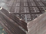 Фанера вологостійка ламінована для опалубки - фото 1