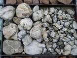 Декоративный дикий камень речная галька гравий для клумб. .. - фото 1